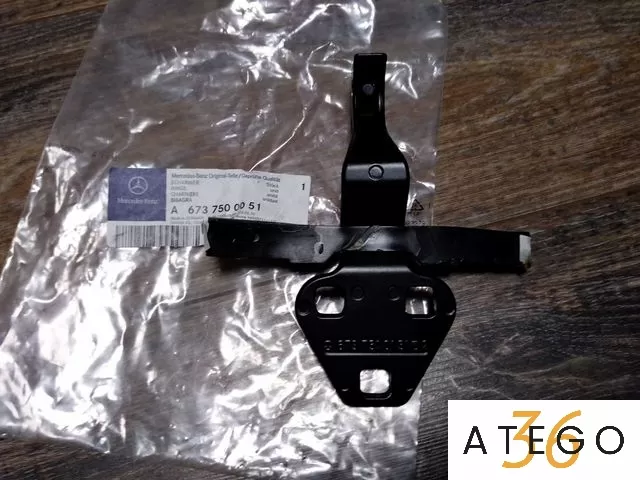 6737500051 Петля капота